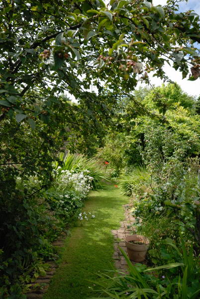 Path to veg garden